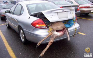 Illustration for article titled The Cars Of Walmart Volume II Gallery